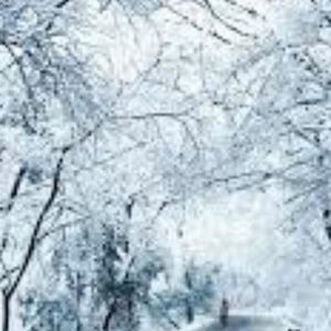 Meet your Posher, Doaa